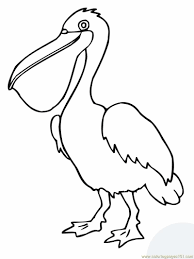 Free Printable Coloring Page Pelican Bird Birds Gt Pelican Bird Coloring Pages Pelican Art Animal Coloring Pages