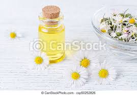 1800flowers.com has been visited by 100k+ users in the past month A Bottle Of Chamomile Oil With Fresh And Dried Chamomile Flowers Selective Focus Canstock