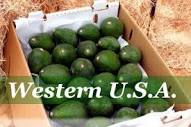 WESTERN SPECIAL - Farmer Ben's 10 lb. Avo Box – California ...