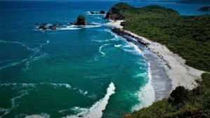 We did not find results for: Galapagos Flora Entdecke Die Wunderschone Natur Auf Den Inseln