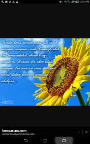 Sketsa bunga matahari merupakan sketsa yang banya digambar oleh seniman. Tolong Tulislah Puisi Bunga Matahari Brainly Co Id