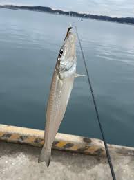 名人の釣り情報 - FISHING NEWS