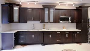 espresso shaker kitchensearch pa