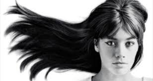 Book Review: 'The Rose Field'