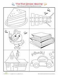 Sense Of Hearing Worksheet Education Com Five Senses Worksheet Senses Preschool Kindergarten Worksheets