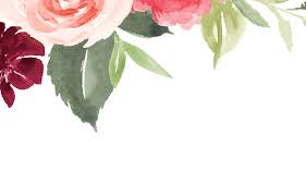 Image result for Marquesia