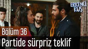 erkenci kus 36 bolum partide surpriz teklif youtube