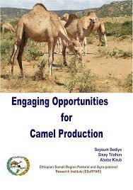 The camel is a multipurpose animal with a huge productive potential. Pdf Engaging Opportunities For Camel Production