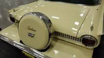 Image result for Desert Gold 1961 Galaxie