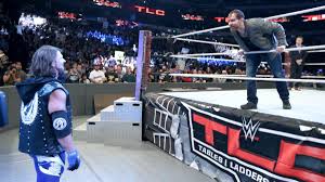Photos Aj Styles And Dean Ambrose Shock The World In Wild Tlc Match Aj Styles Dean Ambrose Wwe World