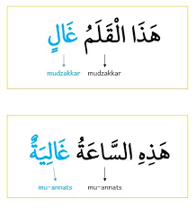Huruf terakhir (huruf ra') dibaca tanwin مَكتبٌُ = (maktabun) meja ; Definisi Contoh Isim Manqush Durusul Lughah 2 Bab 1