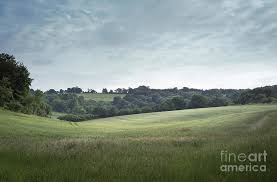 Nitw nightinthewoodsfanart maeborowski mae nitwfanart nightinthewoodsmae fanart night_in_the_woods nitwmae cat. Fields And Woods In Hampshire England Photograph By Perry Rodriguez