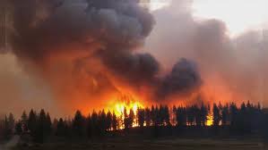 The turkey tail and green ridge fires began from lightning strikes july 7. Wildfires Rage In Russia Spain And The Us Amid High Temperatures Euronews
