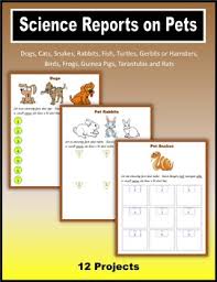 They are distinguishable from other facts. Hamsters Facts Worksheets Teaching Resources Tpt
