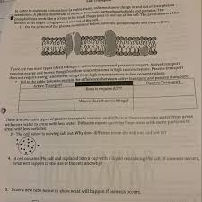 Difference between plant cell and animal cell class 9 brainly. Atp Is Called The Energy Currency Of The Cell Because Brainly Wasfa Blog