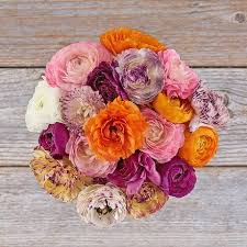 When you are looking for flower delivery in austin, we hope your search ends with us. Flower Delivery Austin The Bouqs Co