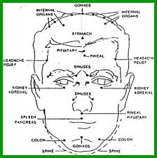Head Hand And Ear Reflexology Charts Show Trigger Points