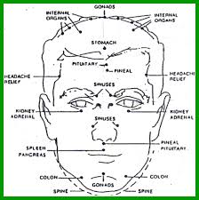 head hand and ear reflexology charts show trigger points