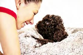 Inscripciones: www.aercan.com