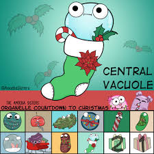 The shape of the plant cell is comparatively larger than the animal cell and. Amoeba Sisters On Twitter Day 3 Of Our Organelle Countdown Like A Stuffed Stocking Central Vacuoles Can Be Stuffed With Water For Plant Cells And Hopefully Free Of Coal Scicomm Sciart Science