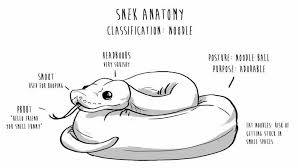 Pin By Kassidy Cargile On Art Tatts Cute Reptiles Cute Snake Pet Snake