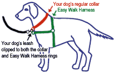 Premier Easy Walk Dog Harness Size Chart Www