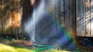 (if your veggies are in containers, they'll probably need water every day or so during the heat because containers tend to dry out faster than the ground.) How To Properly Water Your Trees Arbor Day Blog