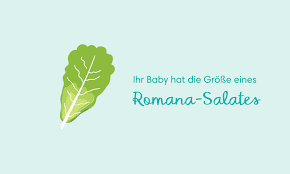 36 Ssw Symptome Und Schwangerschaftsentwicklung Pampers