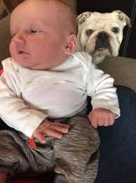 I was bowling with my sister and the kids yesterday when she asked who  Josephine was 🤣💀