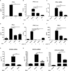 Herpes infection also attracts the type of cells that. Frontiers Herpes Simplex Virus Type 2 Immediate Early Protein Icp27 Inhibits Ifn B Production In Mucosal Epithelial Cells By Antagonizing Irf3 Activation Immunology