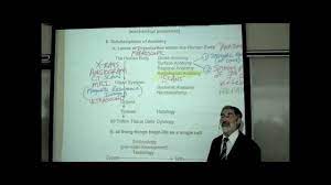 Intro To Human Anatomy By Professor Fink - Youtube