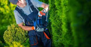 To help find the right landscaper for you, there are 10 important questions to ask. Landscaper Questions You Should Ask Before Hiring