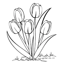 Sketsa gambar berikutnya yang tidak kalah indah untuk diwarnai adalah bunga tulip, dimana bunga ini berasalah dari negeri kincir angin belanda. Gambar Bunga Tulip Tulip Drawing Flower Art Painting Coloring Pages