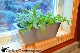 Our expert guides will help you choose grow lights, hydroponic systems, seed starting systems, growing media and more. How To Grow Herbs Indoors The Ultimate Guide Get Busy Gardening