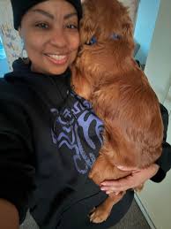 Bathing a puppy: what to do and when?