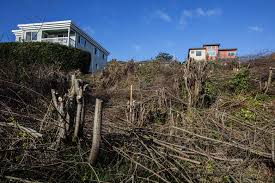 Seattle neighbors join forces in a push to make one of the city's most dangerous roads safer. Homeowners To Pay 440k As The City Settles One Lawsuit Over West Seattle Clear Cut The Seattle Times