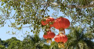 Maybe you would like to learn more about one of these? Chinese Lantern Stock Footage Royalty Free Stock Videos Pond5