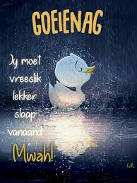 Goeienag Jy Moet Vreeslik Lekker Slaap Vanaand Afrikaans Is Pret Goeie Nag Good Night Image Good Night Sweet Dreams