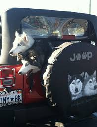Jeep Wrangler Cute Baby Animals Jeep Dogs Cute Animals