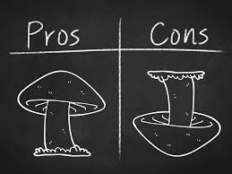 To start off, all you need to do is remove the lid of the kit and rinse it off with tap water. Mushrooms For Depression The Pros Cons Revealed