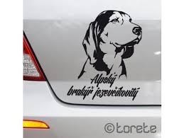 Image result for alpský brakýř jezevčíkovitý