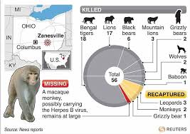 We sell birds, small animals, reptiles, and both freshwater and saltwater fish. Zanesville Massacre 18 Tigers 17 Lions 3 Cougars Gunned Down