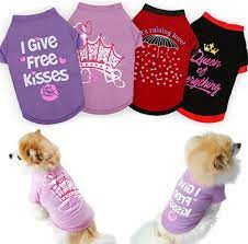 Find out about training, behavior, and care of shorkie dogs. Amazon Com Yikeyo Set Of 4 Dog Shirt For Small Dog Girl Puppy Clothes For Chihuahua Yorkies Bulldog Summer Pet Outfits Female Outfits Tshirt Apparel 4pc Large Pet Supplies