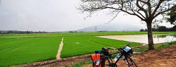 Ikut kereta depan buat pusingan jalan lagi mencari kilang beras rakyat sekinchan, milik syarikat pls di jalan tali air 5. Ini Top 20 Lokasi Aktiviti Outdoor Menyeronokkan Pilihan Ohbulan Yang Korang Wajib Cuba