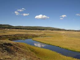 Groups of four or more hikers are required for this trip. Made It This Time Heart Lake Loop Yellowstone National Park Silver Snag Studio