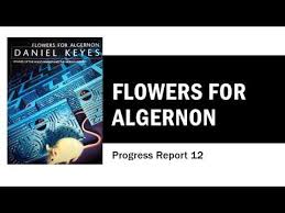 All the while, he cares for and records the progress of a rat named algernon that was the first. Flowers For Algernon Progress Report 12 Youtube