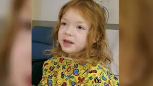 4-letnia dziewczynka znaleziona w lesie po 2 dniach od zaginięcia, był przy  niej pies, który ją chronił