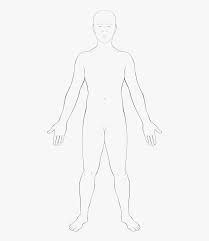 Blank body diagram wiring diagrams folder. Anatomy Vector Body Outline Physical Body Human Body Outline Of Body Transparent Hd Png Download Kindpng