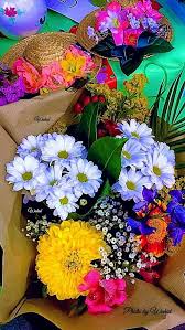 Adnan alisic (born 10 february 1984) is a dutch footballer who plays as a midfielder for rvv coal in the dutch tweede klasse. Pin De Adnan Alic Em Hermosas Flores Beautiful Flowers Arranjos De Flores Belas Flores Flores Maravilhosas