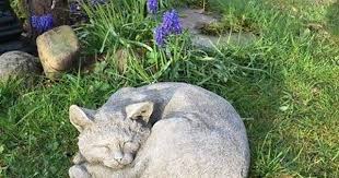 Skulptur Schlafende Katze Wie Lebensecht Gartendeko Wie Stein Schlafende Katze Steinfiguren Garten Katzen
